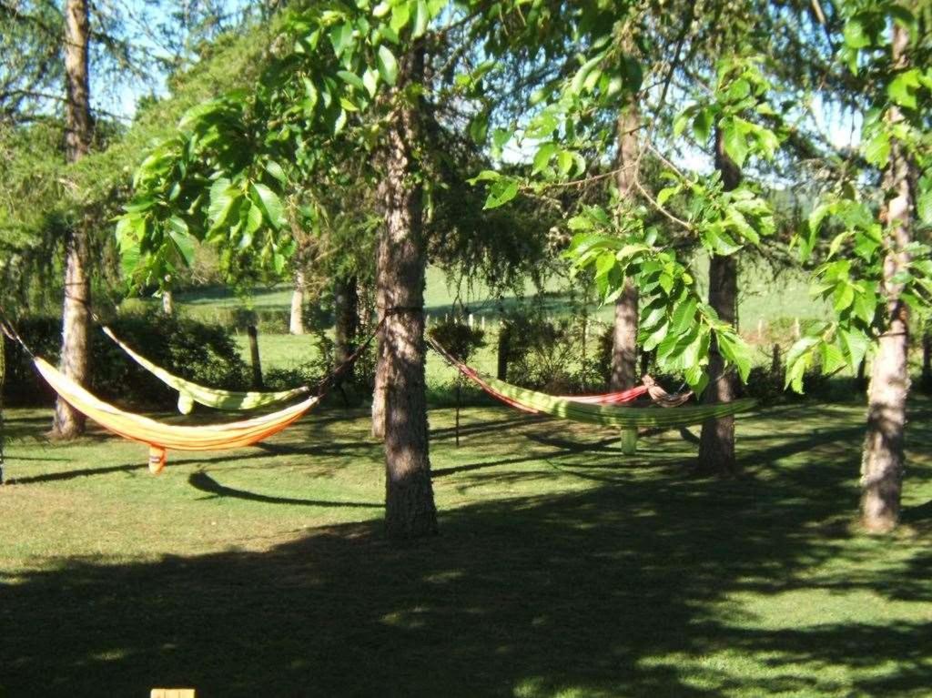 A L'Oree Du Parc Saint-Priest-des-Champs Экстерьер фото
